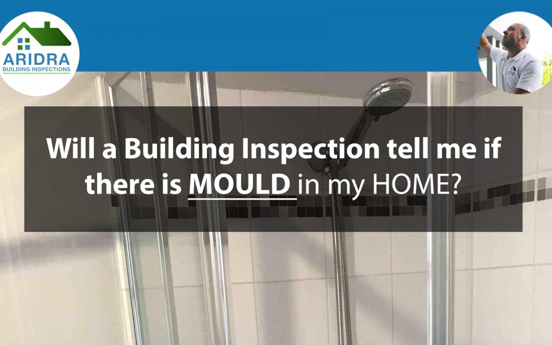 Will a Building Inspection tell me if there is mould in the house?