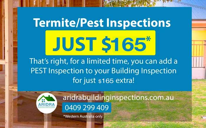 Termite inspections Perth
