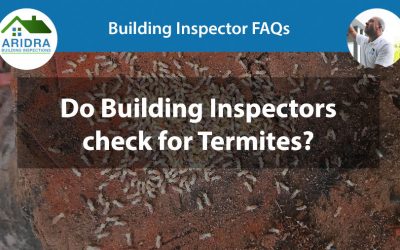 Do Building Inspectors Check for Termites?